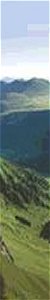 Sancy